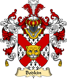 Irish Family Coat of Arms (v.25a) Bodkin