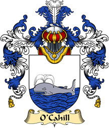 Irish Family Coat of Arms (v.25a) O