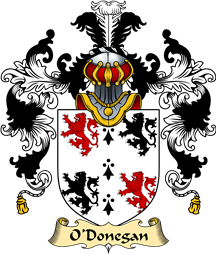 Irish Family Coat of Arms (v.25a) O