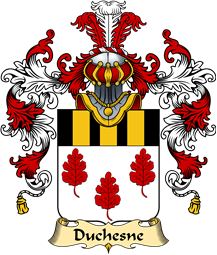 French Family Coat of Arms (v.25) Chesne (du)