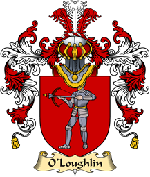 Irish Family Coat of Arms (v.25a) O