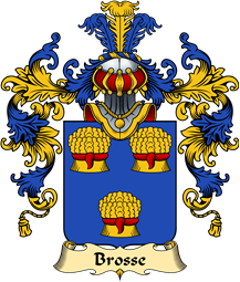 French Family Coat of Arms (v.25) Brosse