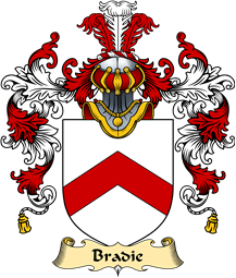 Scottish Family Coat of Arms (v.25) Bradie