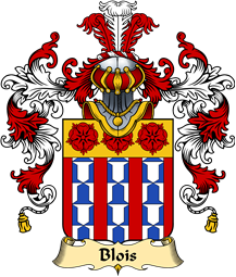 French Family Coat of Arms (v.25) Blois