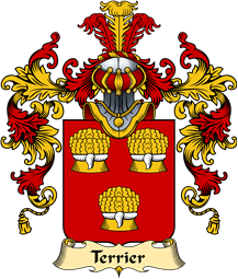 French Family Coat of Arms (v.25) Terrier