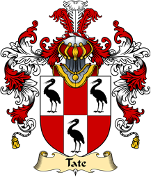 Irish Family Coat of Arms (v.25a) Tate