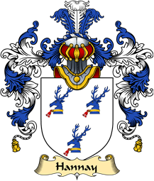 Scottish Family Coat of Arms (v.25) Hannay