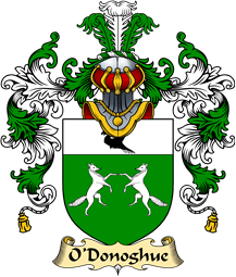Irish Family Coat of Arms (v.25a) O