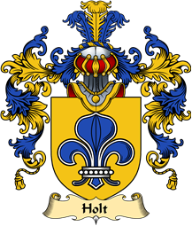 English Family Coat of Arms (v.25) Holt II