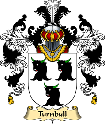 Scottish Family Coat of Arms (v.25) Turnbull