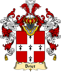 French Family Coat of Arms (v.25) Briet