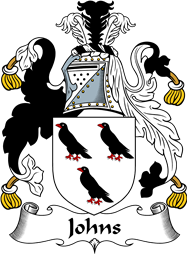 English Coat of Arms for the family Johns