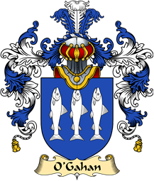 Irish Family Coat of Arms (v.25a) O