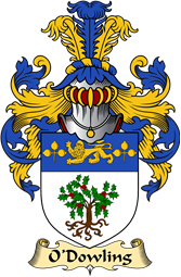 Irish Family Coat of Arms (v.23) for O