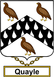 English Coat of Arms Shield Badge for Quayle