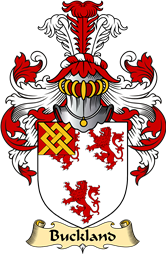 English Coat of Arms (v.23) for the family Buckland