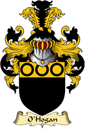 Irish Family Coat of Arms (v.23) for O