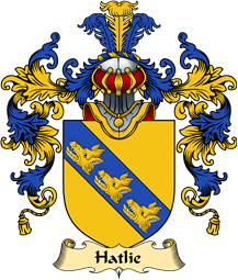 Scottish Family Coat of Arms (v.25) Haitlie or Hatlie