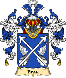 French Family Coat of Arms (v.25) Bray