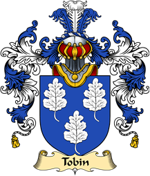 Irish Family Coat of Arms (v.25a) Tobin