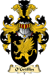 Irish Family Coat of Arms (v.23) for O