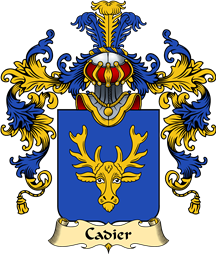 French Family Coat of Arms (v.25) Cadier