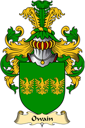 Welsh Family Coat of Arms (v.23) for Owain (GWYNEDD)