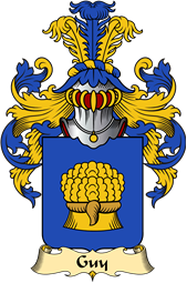 French Family Coat of Arms (v.23) for Guy