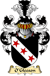 Irish Family Coat of Arms (v.23) for O