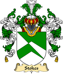 Irish Family Coat of Arms (v.25a) Stokes