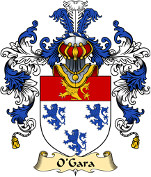 Irish Family Coat of Arms (v.25a) O