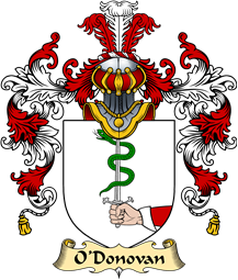 Irish Family Coat of Arms (v.25a) O
