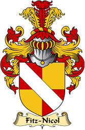 Irish Family Coat of Arms (v.23) for Fitz-Nicol