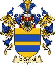 Irish Family Coat of Arms (v.25a) O
