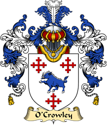 Irish Family Coat of Arms (v.25a) O