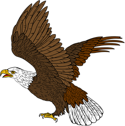 Birds of Prey Clipart image: Bald Eagle Rising