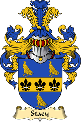 English Coat of Arms (v.23) for the family Stacy (e)