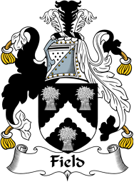 English Coat of Arms for the family Field