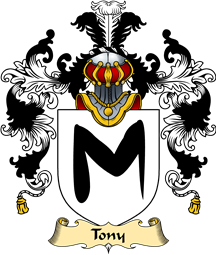 English Family Coat of Arms (v.25) Tony
