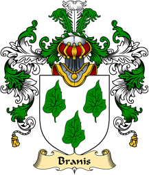 Scottish Family Coat of Arms (v.25) Branis