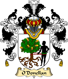 Irish Family Coat of Arms (v.25a) O