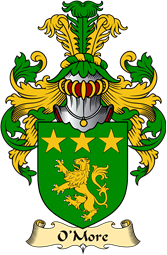 Irish Family Coat of Arms (v.23) for O