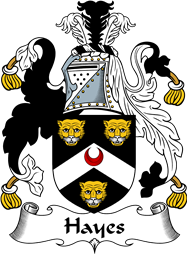 English Coat of Arms for the family Hayes