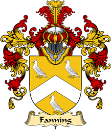 Irish Family Coat of Arms (v.25a) Fanning