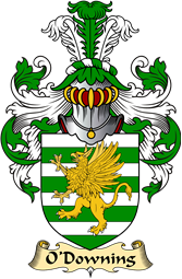 Irish Family Coat of Arms (v.23) for O