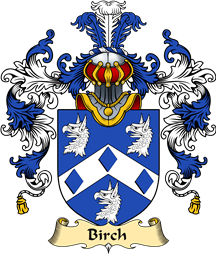 Irish Family Coat of Arms (v.25a) Birch