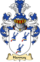 Scottish Family Coat of Arms (v.23) for Hannay