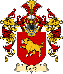 Scottish Family Coat of Arms (v.25) Baird