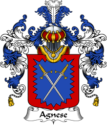 Italian Family Coat of Arms (v.25b) Agnese