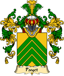 French Family Coat of Arms (v.25) Paillet or Payet